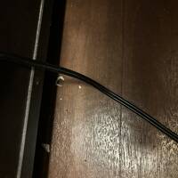 床のゴミとホコリ