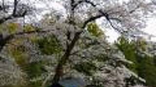 赤城高原温泉 山屋 蒼月