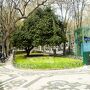 リベルダーデ大通り