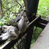 素晴らしい景観