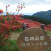葛城山のつつじは必見です。吉野の桜に匹敵します。