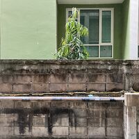 小さな窓の外の風景はこんなで、ロールスクリーン上げられず