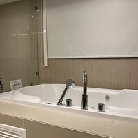 バスルームはジャグジー付きですが、やはりスクリーン上げられず