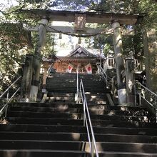 何処も神社は急階段ですね