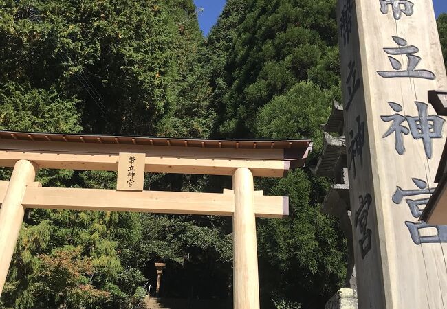 ひむか神話街道沿い・天照降臨の地とか。。スピリチュアルスポットの五百枝杉は圧巻