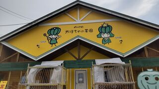 かぼちゃソフトクリーム