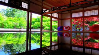 新緑のもみじは適度な混雑具合で、第一、第二駐車場に止められます。