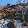 A small-scale plum orchard, but offers a variety of colorful plum blossoms of different varieties