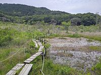 葦毛湿原