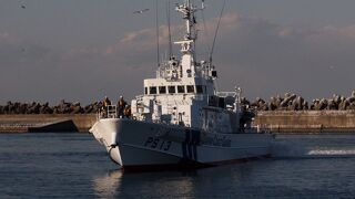 ヒメウが見られました。