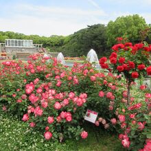 須磨離宮公園