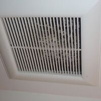 バスルームの天井ファン、掃除してなくホコリだらけ