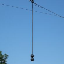 綱渡りするクマ