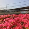 日常使いしてる男子高校生の感想