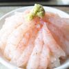硫黄泉好きにおすすめ