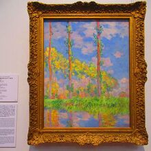 陽を浴びるポプラ並木