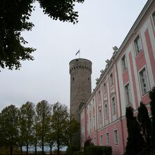 トームペア城とのっぽのヘルマンの塔