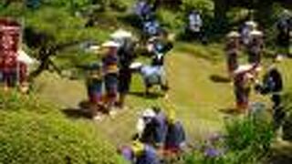 新庄のはやし田