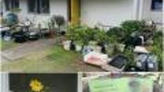 カフェ ドゥ ミヤ