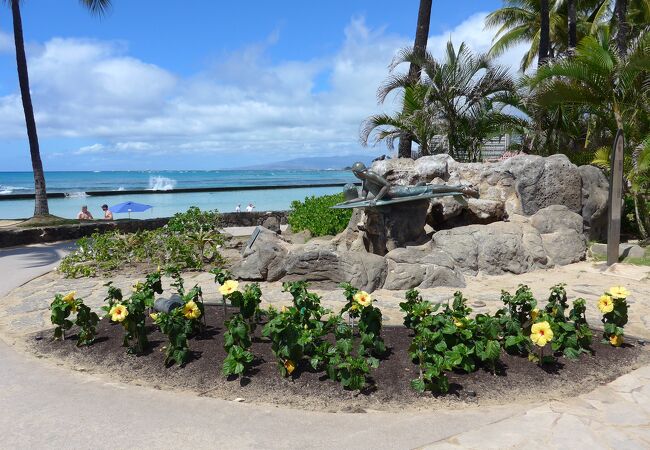 HAWAII ポスター　ハワイアンコアウッド 額装あり　アザラシ IMG_4748.jpg?fit=1100,825&ssl=1