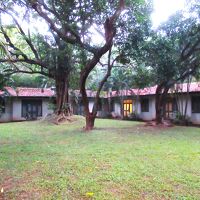 平屋の部屋が外廊下で繋がっています