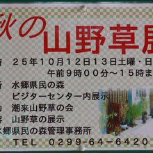 秋の山野草展ポスター