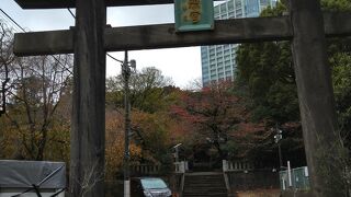 樹木に覆われ都会の雑踏を感じさせない居心地のよい空間です！