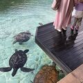 子供も楽しいラグジュアリーホテル