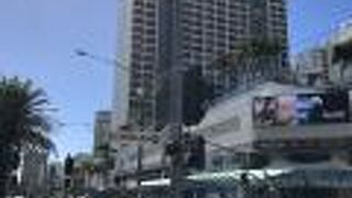 エルクホーン アベニュー