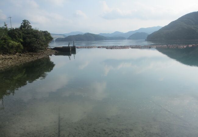 渦っぽい流れも