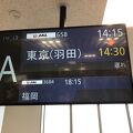 特典航空券を発券するならお得な離島の奄美大島から先ずスタート！