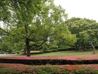 千葉県立柏の葉公園