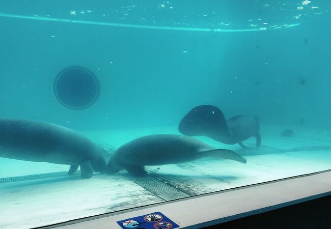 もしかして無料？