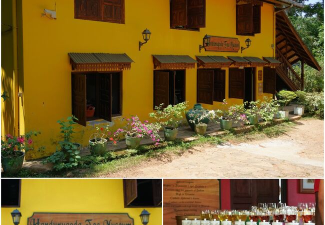 ハンデュヌゴダ ティー エステート