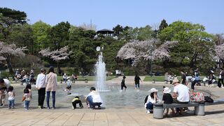 函館公園