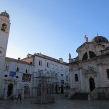 頑張って朝写しましたが、やはり逆光です。