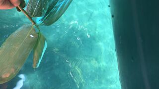 自然の中に抱かれる