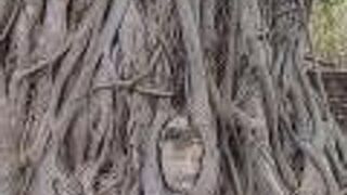 アユタヤ観光の象徴