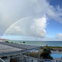 屋根も景色のうちと思えば、、
