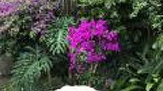 アクセス要注意