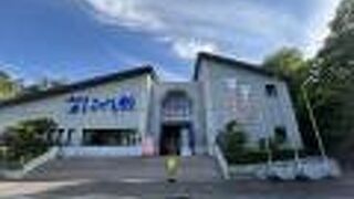 みやぎ蔵王こけし館(蔵王町伝承産業会館)