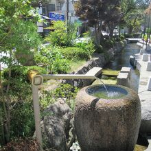 辰巳の御庭