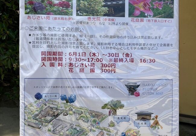 筥崎宮あじさい苑 クチコミ・アクセス・周辺情報｜博多 - フォートラベル