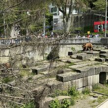 飼育エリアの上から眺める形