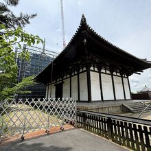 東金堂も修復中