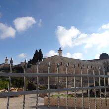 公園内は有料です。