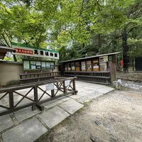 春日大社萬葉植物園(神苑)