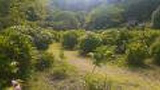 天拝山歴史自然公園