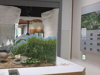 妙高高原ビジターセンター(博物展示施設)