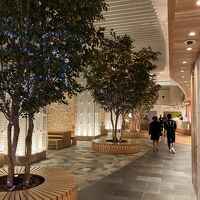 ロビーには木が何本か植ってます